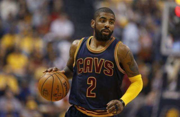 他们将有机 他们将有机