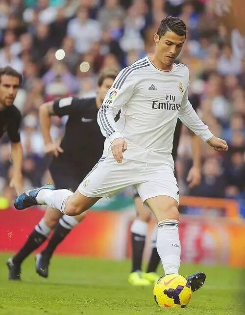 实体版预售 实体版预售